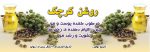 پوست مو