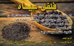 فلفل سیاه