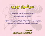 سرشوی چرب -سرشوی گیاهی