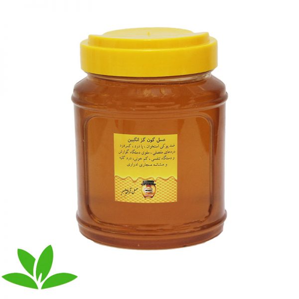 عسل گون گزانگبین - قیمت عسل طبیعی