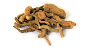 اسرول هندی